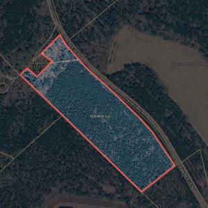 Photo #3 of TBD Terrell's Bay Rd., Centenary, SC 65.0 acres