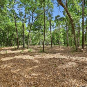 Photo #5 of Tract B Jacks Circle Rd., North Myrtle Beach, SC 0.5 acres