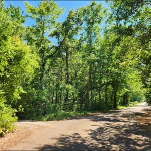 Photo #3 of 9 Ditch Digger Ln., Murrells Inlet, SC 0.5 acres