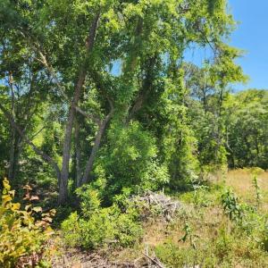 Photo #1 of 9 Ditch Digger Ln., Murrells Inlet, SC 0.5 acres
