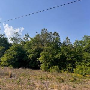 Photo #6 of 2716 W Highway 378 Hannah, Gresham, SC 0.5 acres