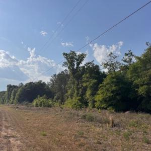 Photo #8 of 2716 W Highway 378 Hannah, Gresham, SC 0.5 acres