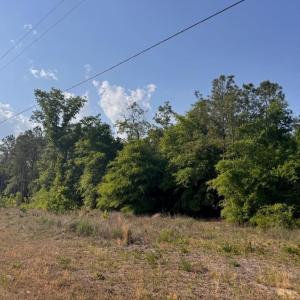 Photo #5 of 2716 W Highway 378 Hannah, Gresham, SC 0.5 acres