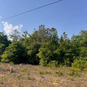 Photo #1 of 2716 W Highway 378 Hannah, Gresham, SC 0.5 acres