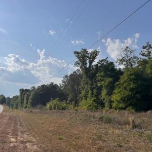 Photo #7 of 2716 W Highway 378 Hannah, Gresham, SC 0.5 acres