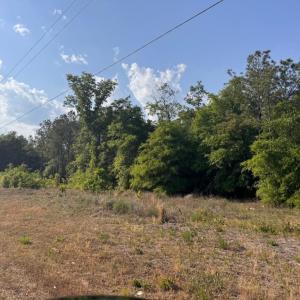 Photo #3 of 2716 W Highway 378 Hannah, Gresham, SC 0.5 acres