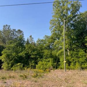 Photo #2 of 2716 W Highway 378 Hannah, Gresham, SC 0.5 acres