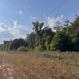 Photo #4 of 2716 W Highway 378 Hannah, Gresham, SC 0.5 acres
