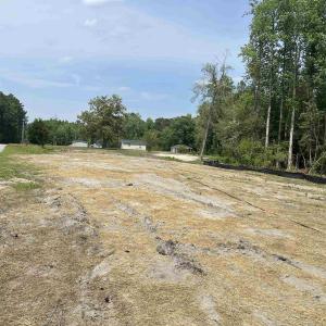 Photo #23 of 255 Ole Maple St., Loris, SC 3.4 acres