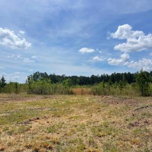 Photo #3 of TBD 30 ac Rocky Ford Rd., Salters, SC 30.0 acres