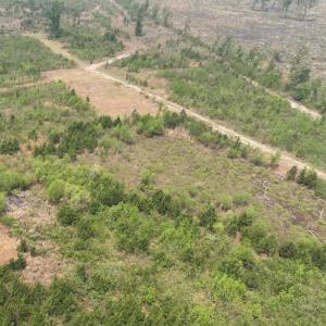 Photo #10 of TBD 30 ac Rocky Ford Rd., Salters, SC 30.0 acres