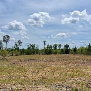 Photo #6 of TBD 30 ac Rocky Ford Rd., Salters, SC 30.0 acres