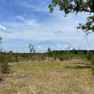 Photo #8 of TBD 30 ac Rocky Ford Rd., Salters, SC 30.0 acres