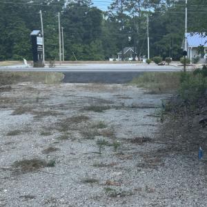 Photo #18 of 21098 N Fraser St., Georgetown, SC 0.6 acres