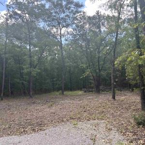Photo #17 of 21098 N Fraser St., Georgetown, SC 0.6 acres
