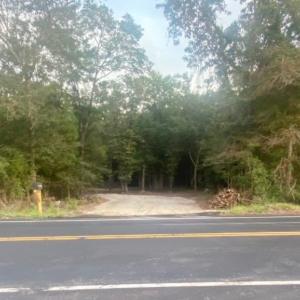 Photo #11 of 21098 N Fraser St., Georgetown, SC 0.6 acres