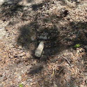 Photo #15 of 21098 N Fraser St., Georgetown, SC 0.6 acres
