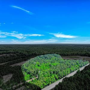 Photo #2 of TBD Piney Grove Church Rd, Gresham, SC 12.0 acres