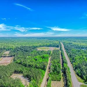Photo #4 of TBD Piney Grove Church Rd, Gresham, SC 12.0 acres
