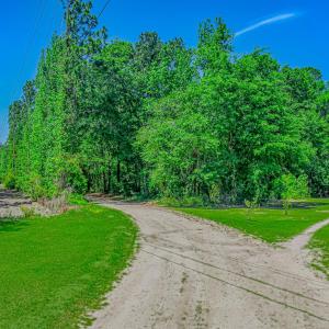 Photo #7 of TBD Piney Grove Church Rd, Gresham, SC 12.0 acres