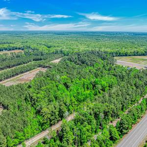 Photo #5 of TBD Piney Grove Church Rd, Gresham, SC 12.0 acres