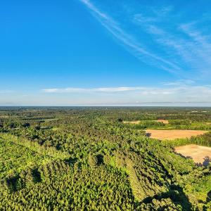 Photo #35 of TBD Chair Rd., Hemingway, SC 30.2 acres