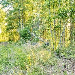 Photo #13 of TBD Chair Rd., Hemingway, SC 30.2 acres