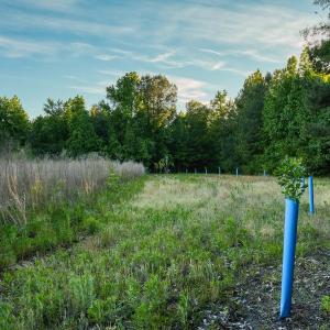 Photo #27 of TBD Chair Rd., Hemingway, SC 30.2 acres
