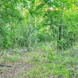 Photo #19 of TBD Chair Rd., Hemingway, SC 30.2 acres