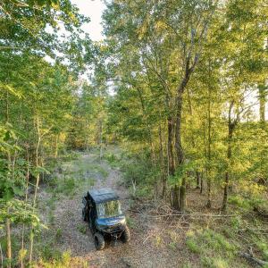 Photo #10 of TBD Chair Rd., Hemingway, SC 30.2 acres