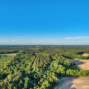 Photo #36 of TBD Chair Rd., Hemingway, SC 30.2 acres