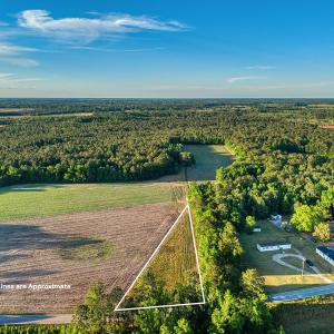 Photo #7 of TBD Chair Rd., Hemingway, SC 30.2 acres