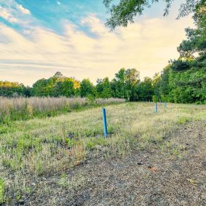 Photo #25 of TBD Chair Rd., Hemingway, SC 30.2 acres