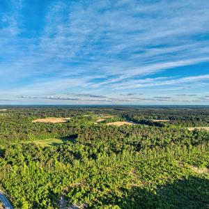 Photo #37 of TBD Chair Rd., Hemingway, SC 30.2 acres