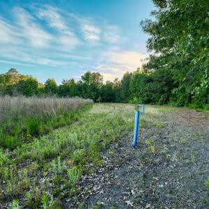 Photo #31 of TBD Chair Rd., Hemingway, SC 30.2 acres