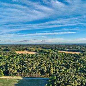 Photo #33 of TBD Chair Rd., Hemingway, SC 30.2 acres