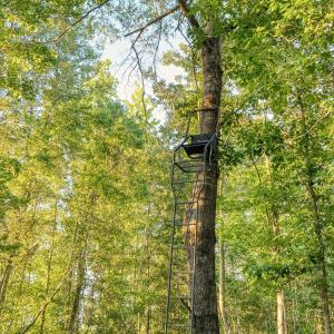 Photo #9 of TBD Chair Rd., Hemingway, SC 30.2 acres