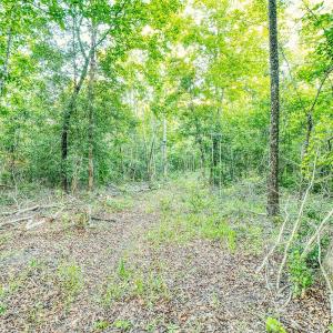 Photo #11 of TBD Chair Rd., Hemingway, SC 30.2 acres