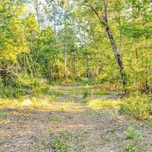 Photo #16 of TBD Chair Rd., Hemingway, SC 30.2 acres