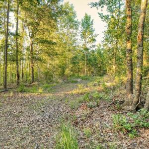 Photo #22 of TBD Chair Rd., Hemingway, SC 30.2 acres