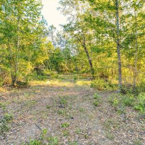 Photo #18 of TBD Chair Rd., Hemingway, SC 30.2 acres