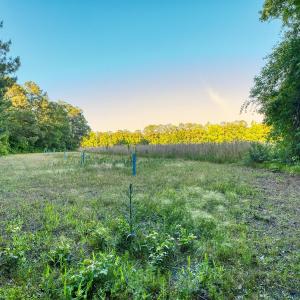 Photo #24 of TBD Chair Rd., Hemingway, SC 30.2 acres