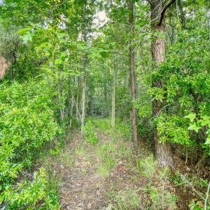 Photo #23 of TBD Chair Rd., Hemingway, SC 30.2 acres
