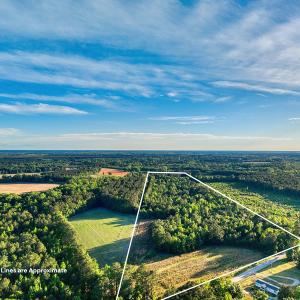 Photo #1 of TBD Chair Rd., Hemingway, SC 30.2 acres