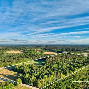 Photo #6 of TBD Chair Rd., Hemingway, SC 30.2 acres