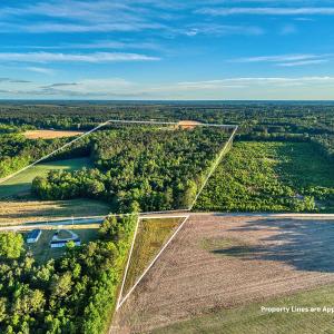 Photo #5 of TBD Chair Rd., Hemingway, SC 30.2 acres