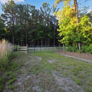 Photo #2 of TBD Chair Rd., Hemingway, SC 30.2 acres