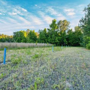 Photo #28 of TBD Chair Rd., Hemingway, SC 30.2 acres