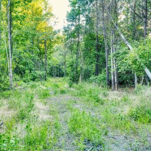 Photo #21 of TBD Chair Rd., Hemingway, SC 30.2 acres