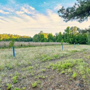 Photo #29 of TBD Chair Rd., Hemingway, SC 30.2 acres